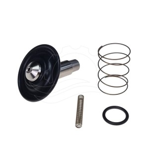Remondikomplekt Bürkert 6213 solenoidventiilile 0-10bar DN13 FKM VA DC